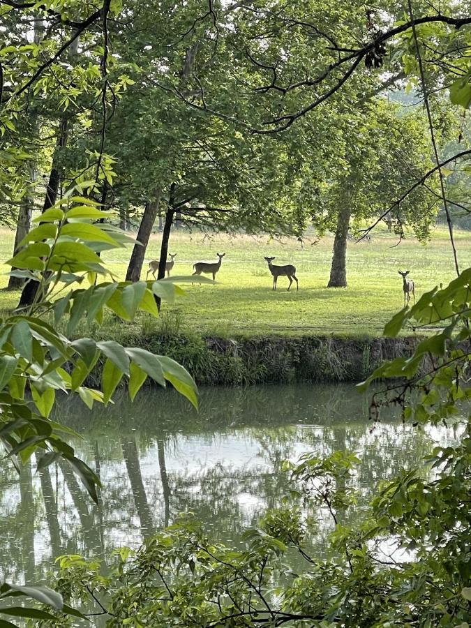 Htr Tx Hill Country Campground Kerrville Dış mekan fotoğraf
